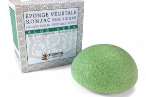 Eponge végétale aloe